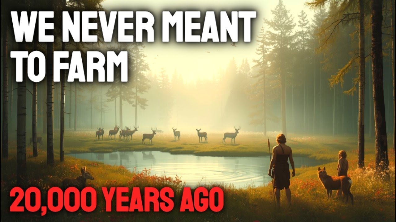 How Farming MADE Us | The Greatest Mistake Ever? | 20,000 Years Ago | HISTORY FOR SLEEP