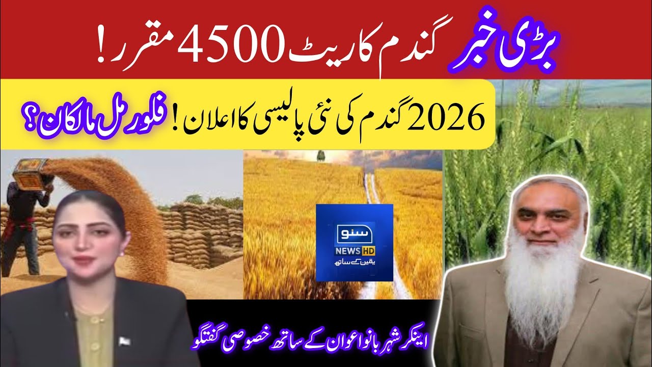 2026 Gandum Ki Nai Policy Ka Elaan | Flour Mill Malikon Ka Bara Faisla | Kisan Kya Kare?
