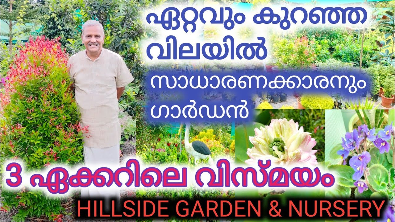 3 ഏക്കറിലെ നേഴ്സറിയും ഏറ്റവും കുറഞ്ഞ വിലയും#plantnurserytour #greenworld#hillsidegarden