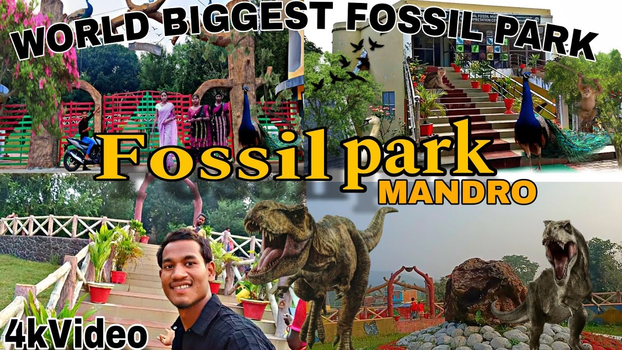 Fossil park mandro 🏞️ || sahibganj | मंडरो का फॉसिल पार्क  Jharkhand ||