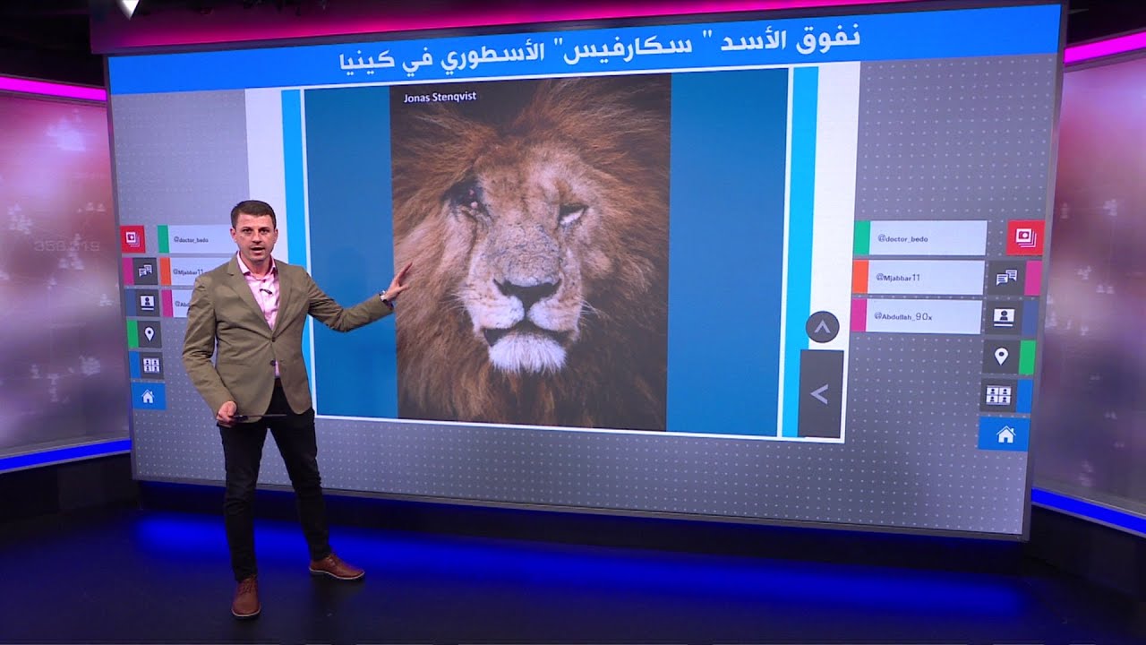نفوق الأسد سكارفيس أحد أشهر الأسود في إفريقيا