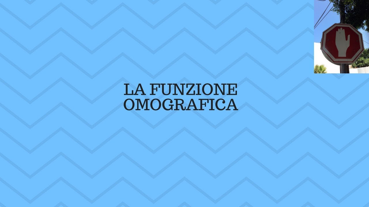 la funzione omografica
