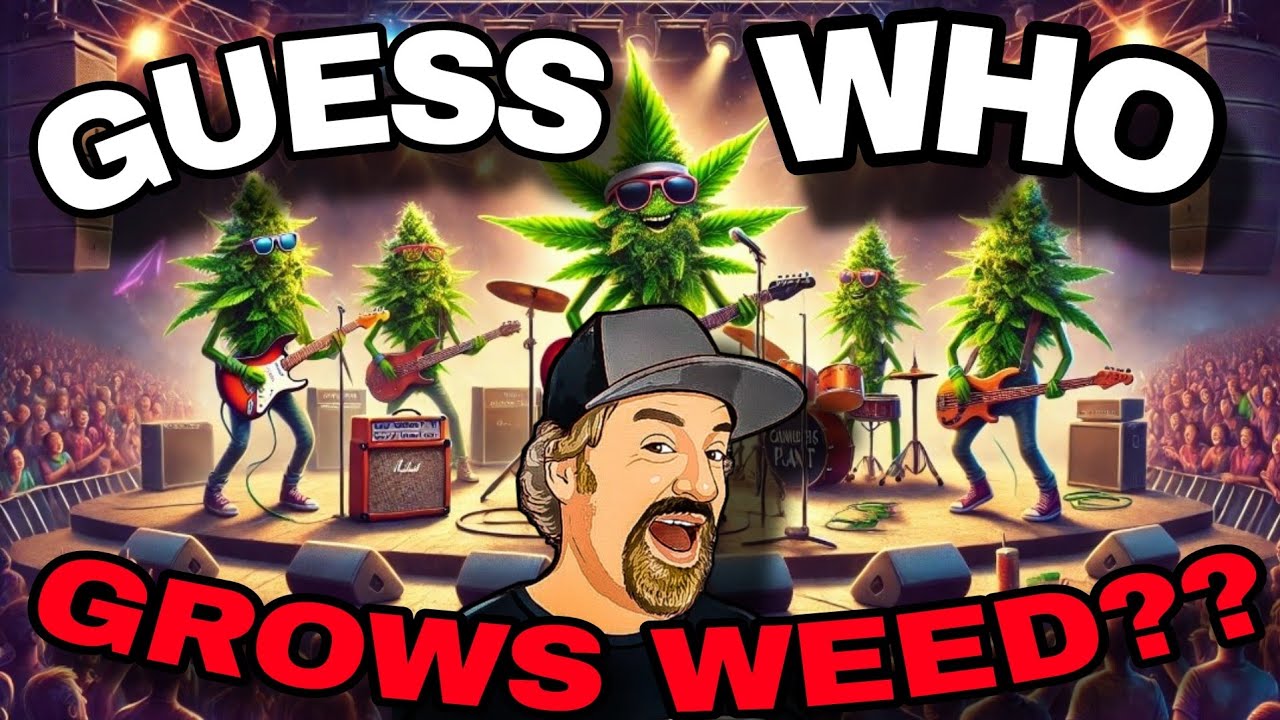 Rockstar Grow Room: Hollywood Undead  Cannabis Growing Pro Tips & Stories