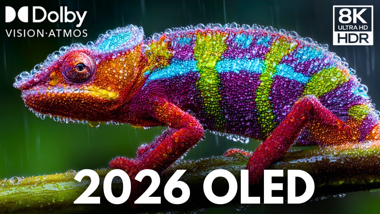 Oled Demo 2026: JUST DROPPED 8K HDR Dolby Atmos Experience