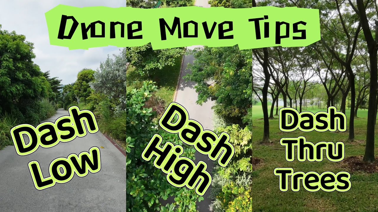Drone Move 10 Dashing Forward, Low, High and thru Trees