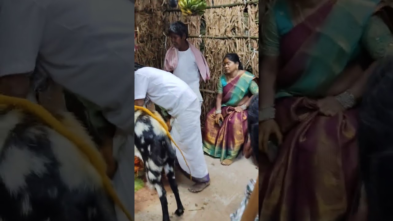 Nunela yarrayya gollasaduvu