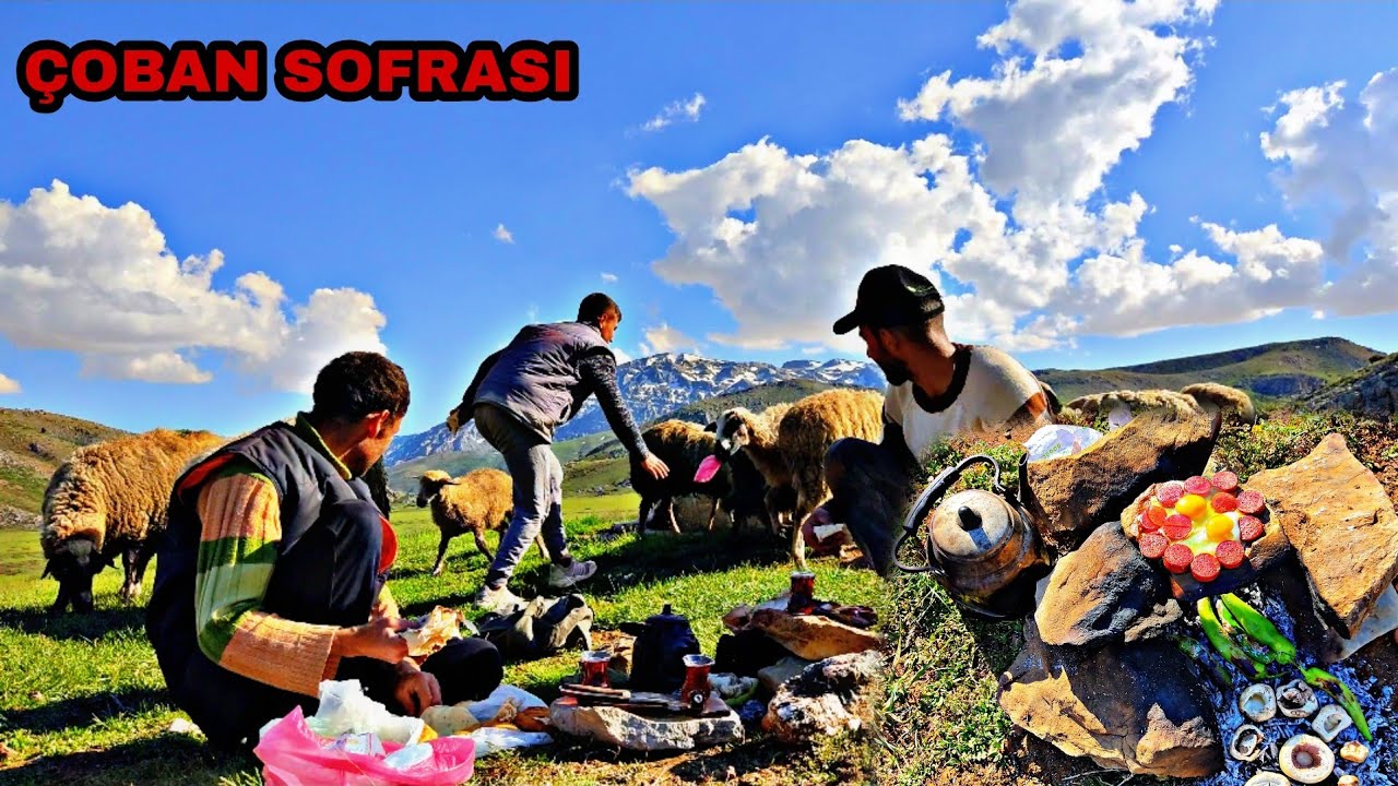 DOĞADA ÇOBAN SOFRASI~MANTAR TAŞTA SUCUKLU YUMURTA~mantar avı