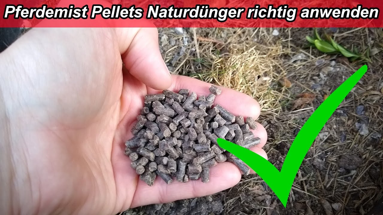 Pferdemist Pellets / Pferdedung Naturdünger Anwendung Wann Dünger düngen, Dosierung, welche Pflanzen