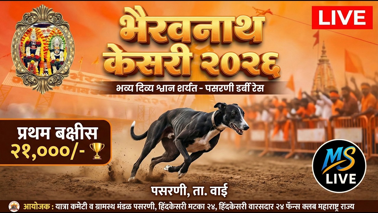 LIVE: भव्य आणि दिव्य श्वान शर्यत - भैरवनाथ केसरी २०२६ | पसरणी डर्बी रेस | ता. वाई, जि. सातारा