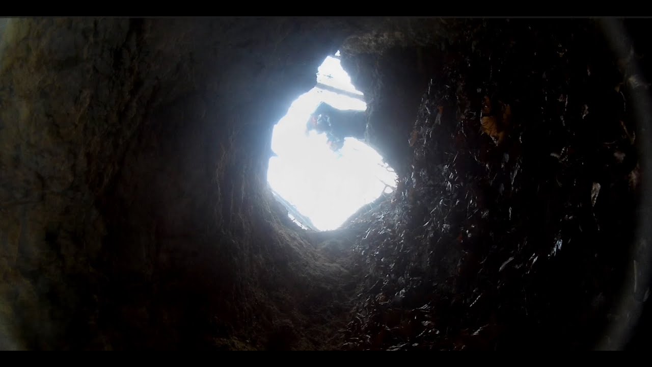 Mandalien - Geologiczna stonoga (ft. Realgar) /Geological millipede/