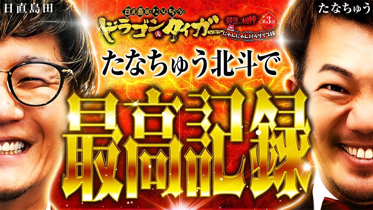 最高記録⁉ 日直島田&たなちゅうドラゴン＆タイガー 最強の相棒 〜にゃんにゃんパラダイス編〜【第3話(2/2)】 @simada_obasan @pekarutv