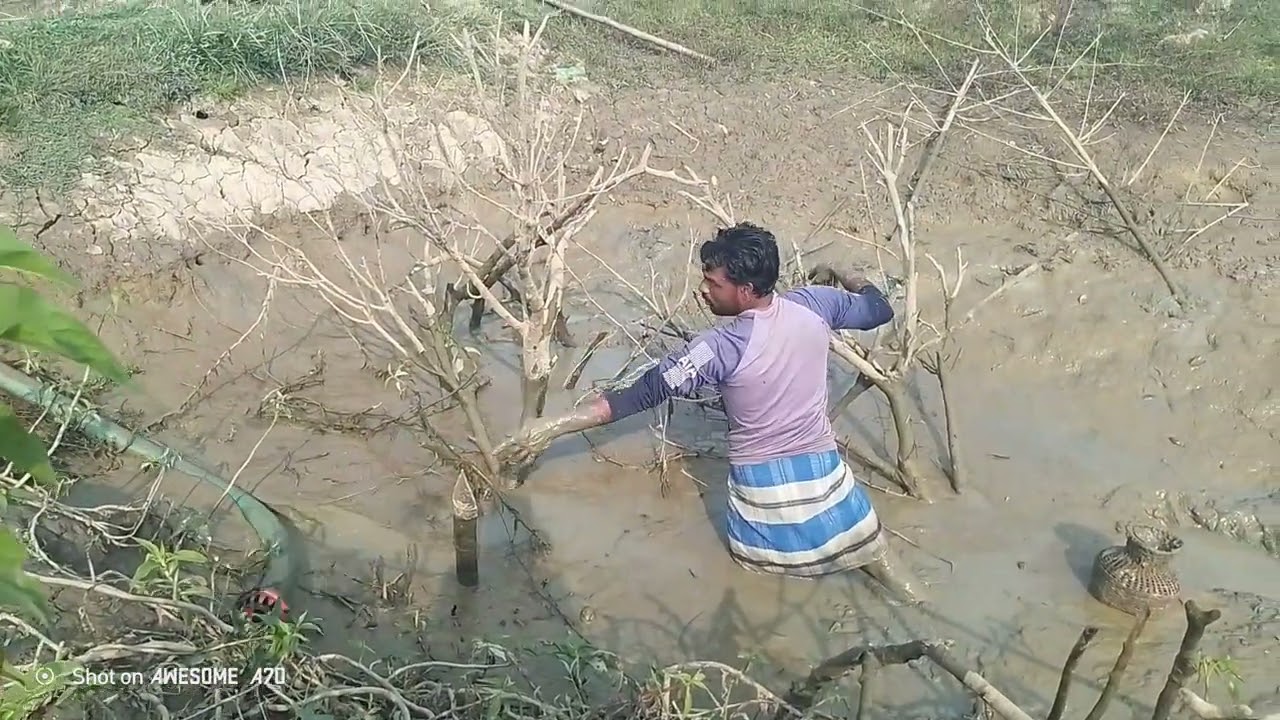 মাছ মারার দৃশ্য 