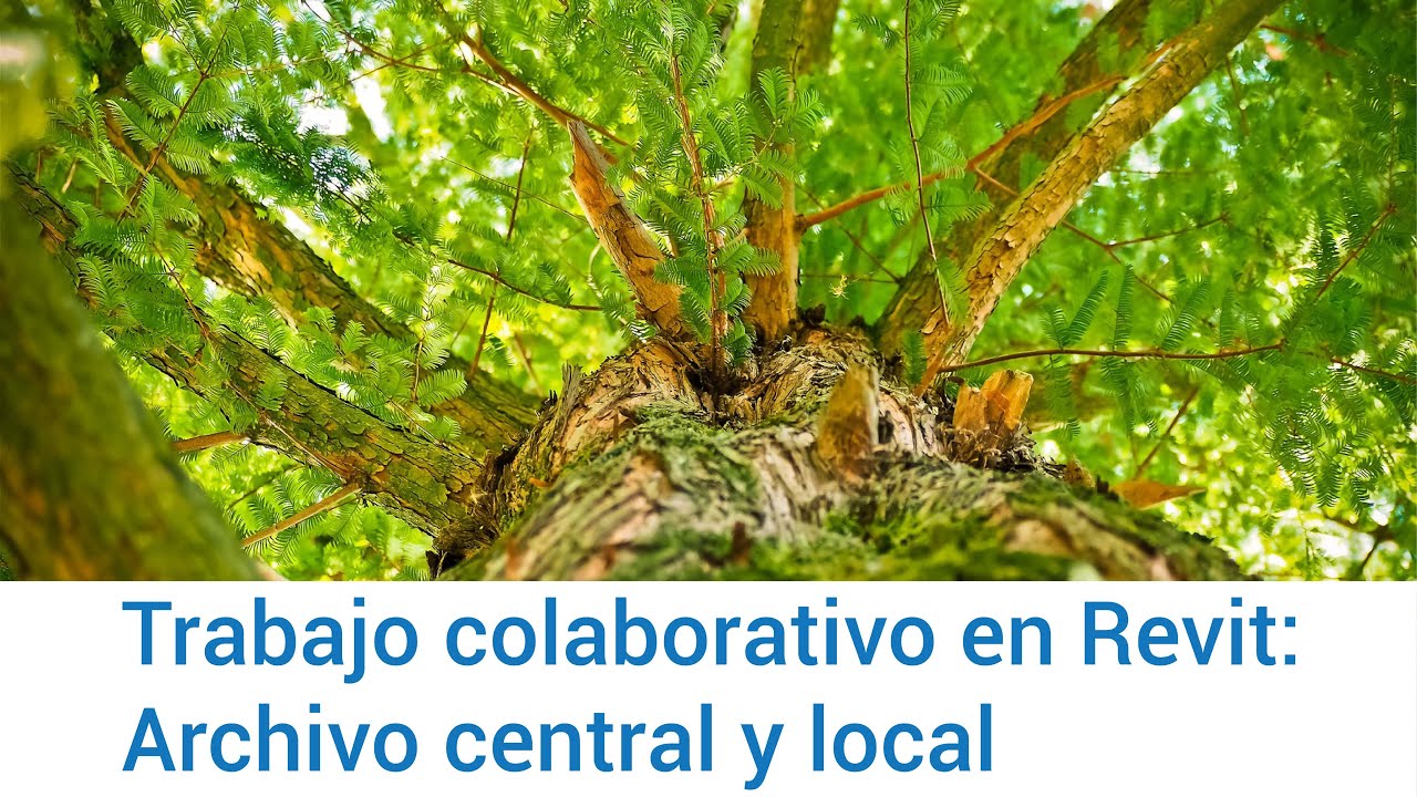 Trabajo colaborativo en Revit: Archivo central y local