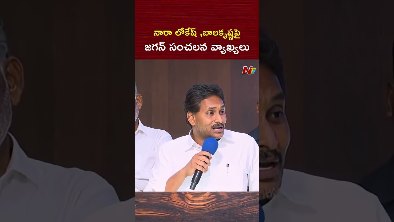 YS Jagan Sensational Comments on Nara Lokesh, Balakrishna | NTV