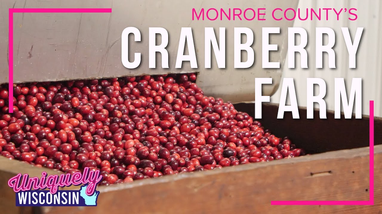 A Fifth Generation Cranberry Farm: Reframing Farming