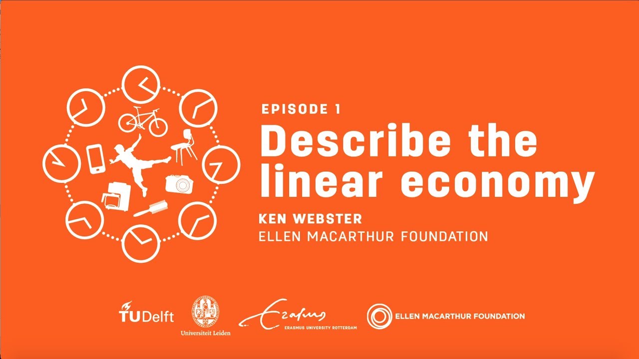 CircularX 2015 Describe the Linear Economy