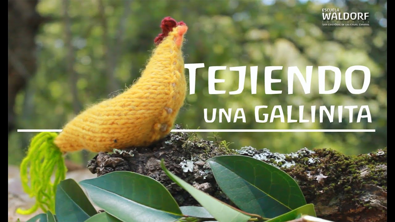 Tejiendo una gallinita