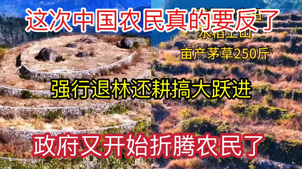 政府又开始折腾农民了，这次中国农民真的要反了，强行退林还耕刺痛了人民的心