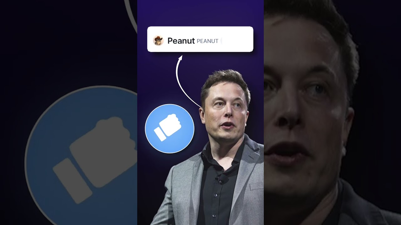 Peanut Token 50x profits this bull ran 2025 | developer with Elon Musk | #trading #crypto #shorts