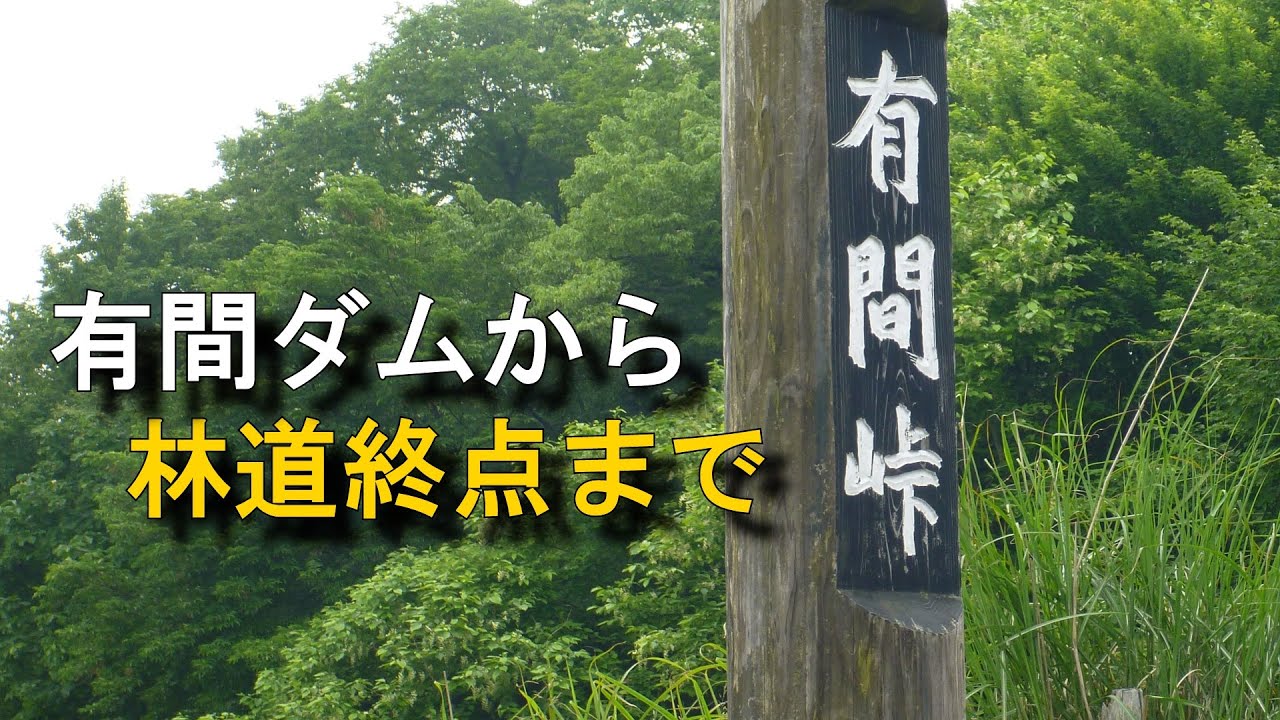 広河原逆川林道（有間ダムから林道終点まで）
