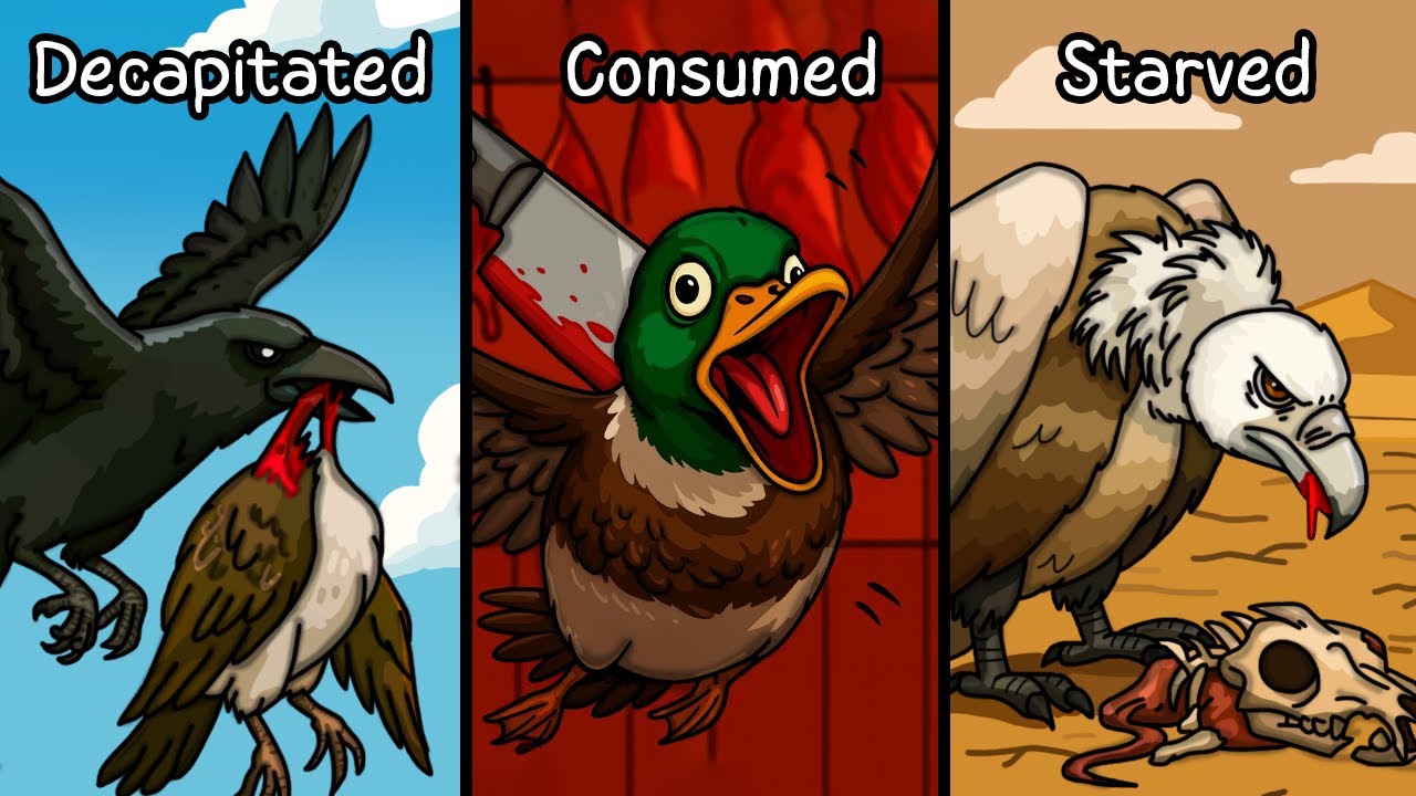 Why it Sucks To Be Born As a Bird