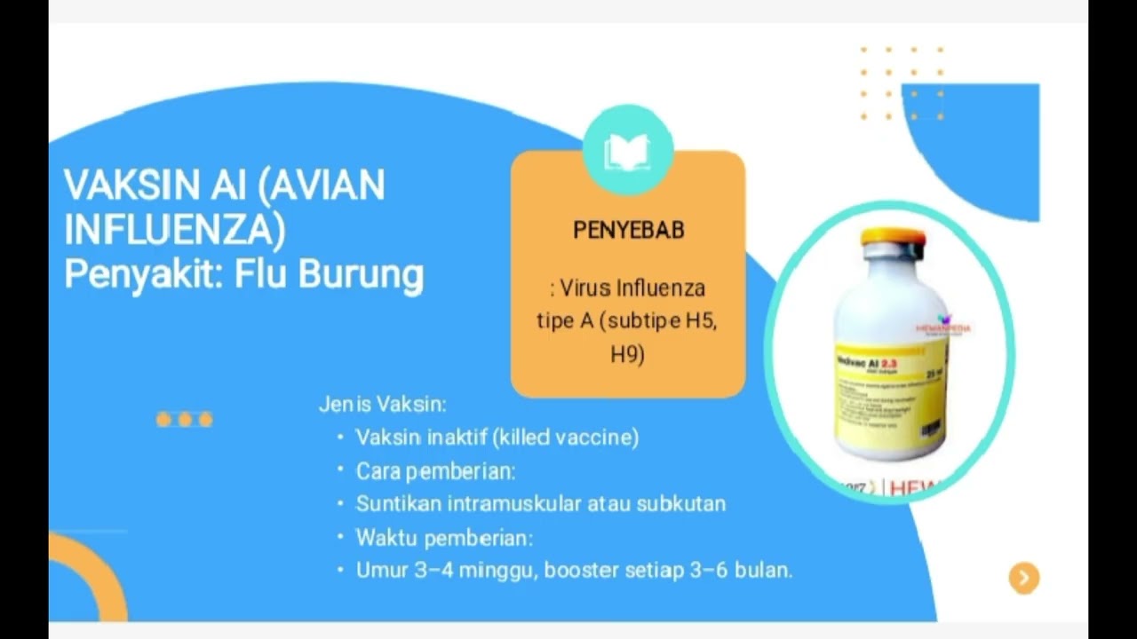 JENIS VAKSIN PADA TERNAK AYAM 