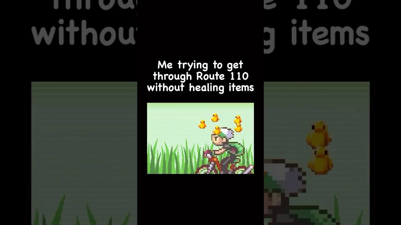 Surviving Route 110 in Pok&eacute;mon Emerald like