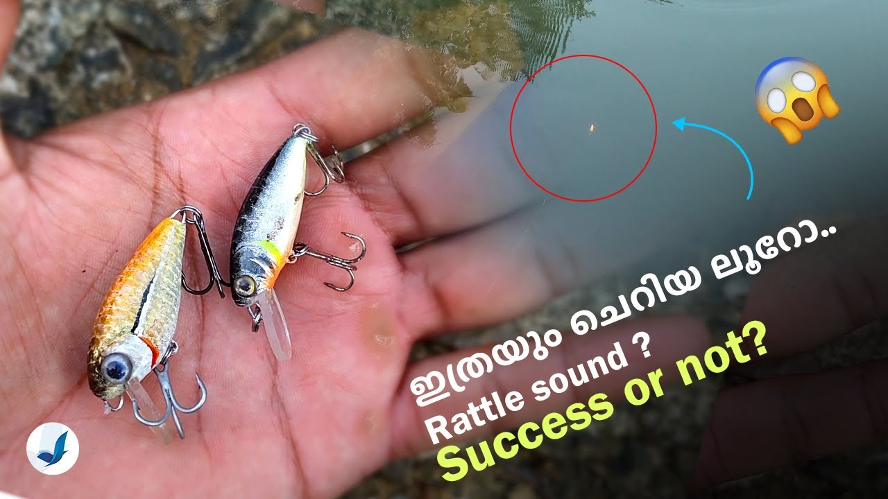 Ultralight lure ഉണ്ടാക്കിയാലോ? ഞങ്ങളെ പോലും ഞെട്ടിച്ചുകളഞ്ഞു. #kerala #trending #latest #fish #top