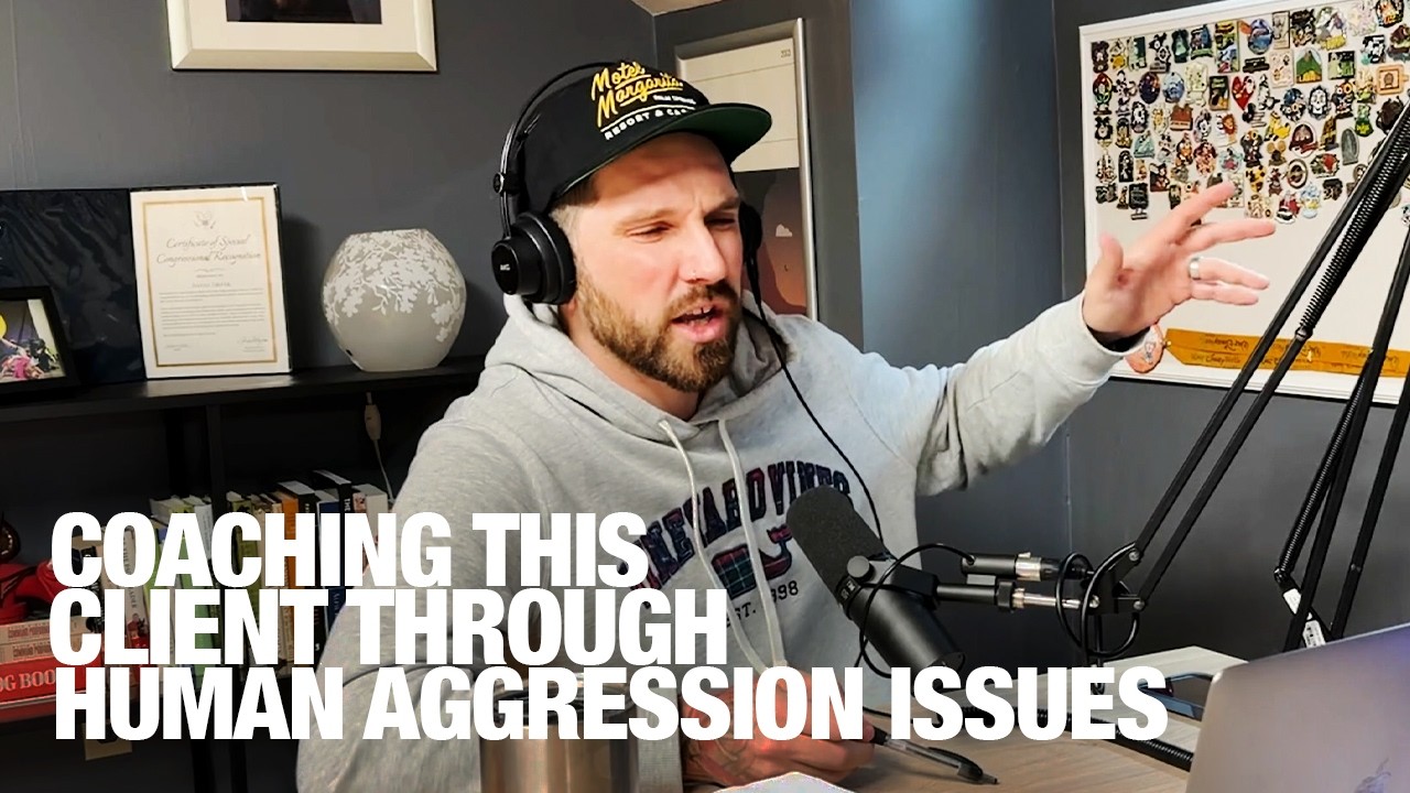 How Our Podcast Helped This Dog's Aggression!