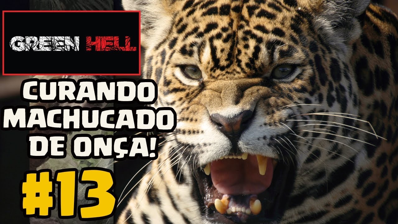 Curando o ataque de Onça - Green Hell  - EP 13 (Modo Survival)