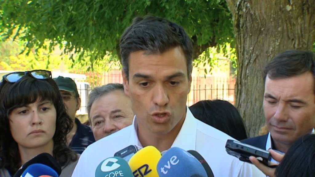 Pedro S&aacute;nchez: 