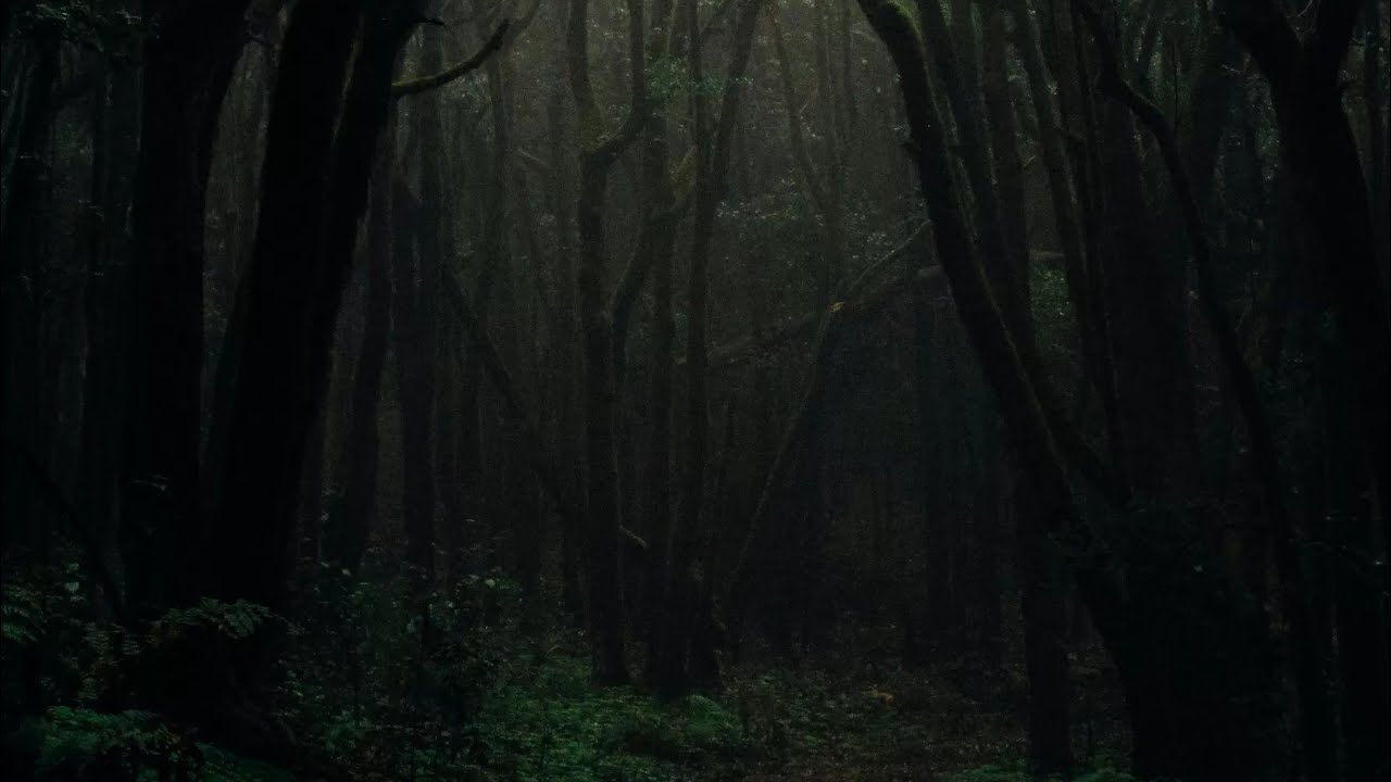 MEMECAHKAN MITOS HUTAN ANGKER