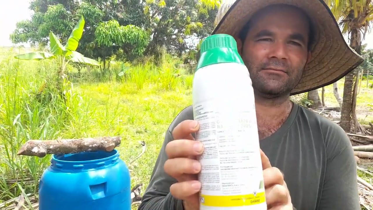 Control de malezas eficaz y seguro en el cultivo de maracuyá.
