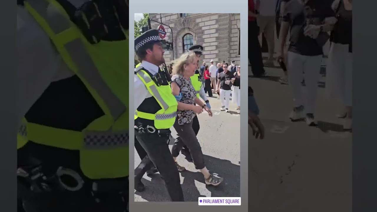 Woman Arrested During Pro-Palestine Protest in London