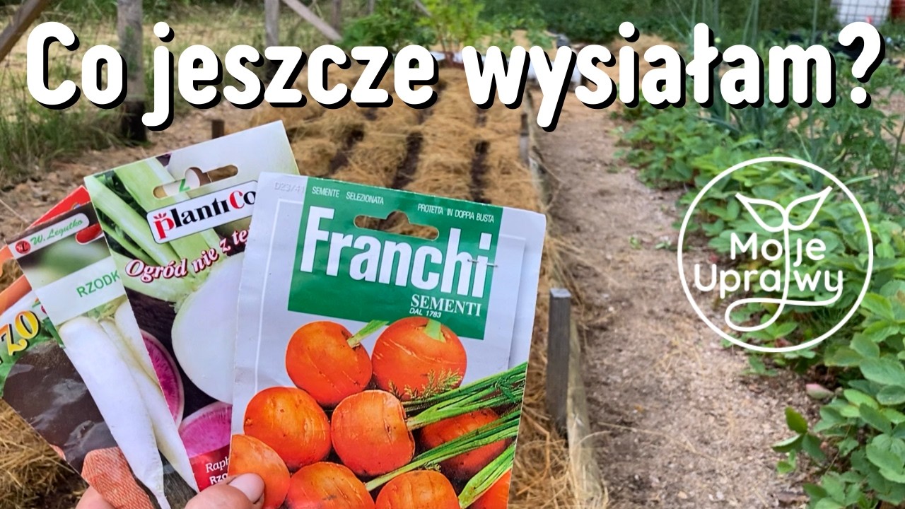 💥👍2 TIPY: Jak SIAĆ w sianie? Co można jeszcze siać w CZERWCU? Czerwiec w ogrodzie. Opóźnione wysiewy
