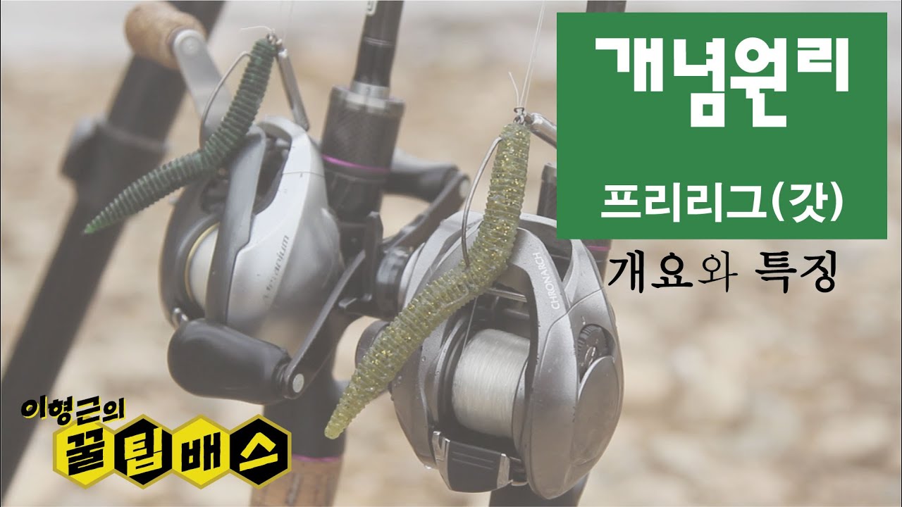 배스루어낚시를 시작한 당신만을 위한 프리리그 사용설명서 Bass Fishing