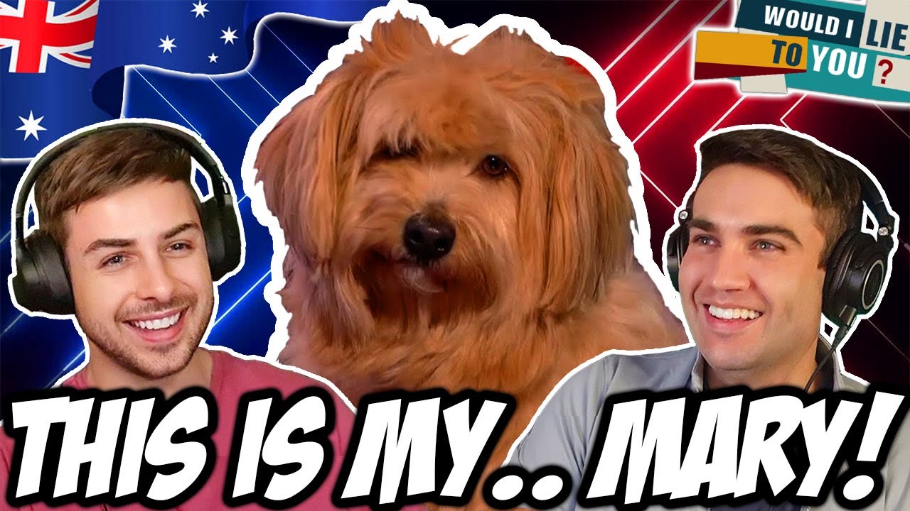 THIS IS MY… Mary The Dog! | WILTY Reaction