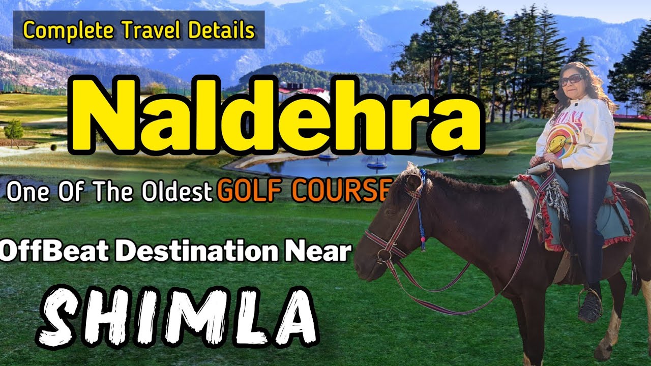 Naldehra Shimla | Places To Visit Near Shimla | Naldehra Vlog | Shimla #shimla