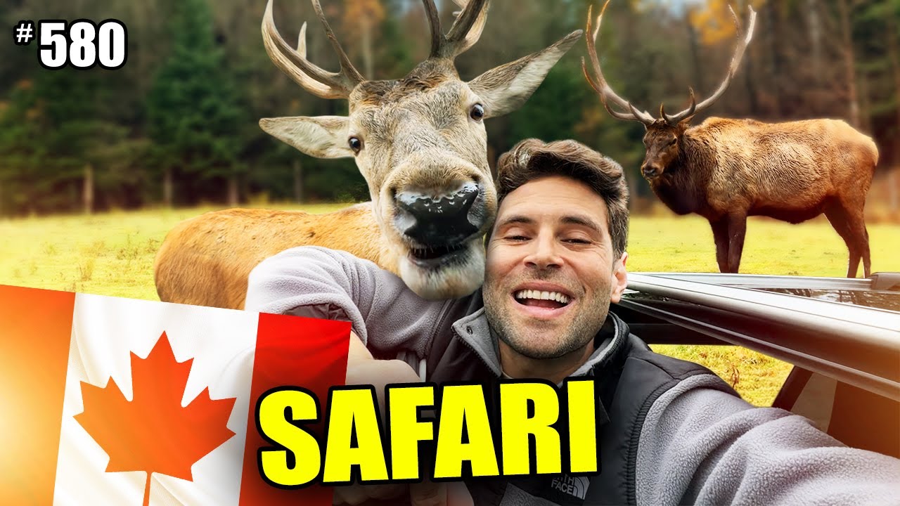 Fomos em um SAFARI no Canadá! (Alces, Lobos, Ursos e Mais!) #580