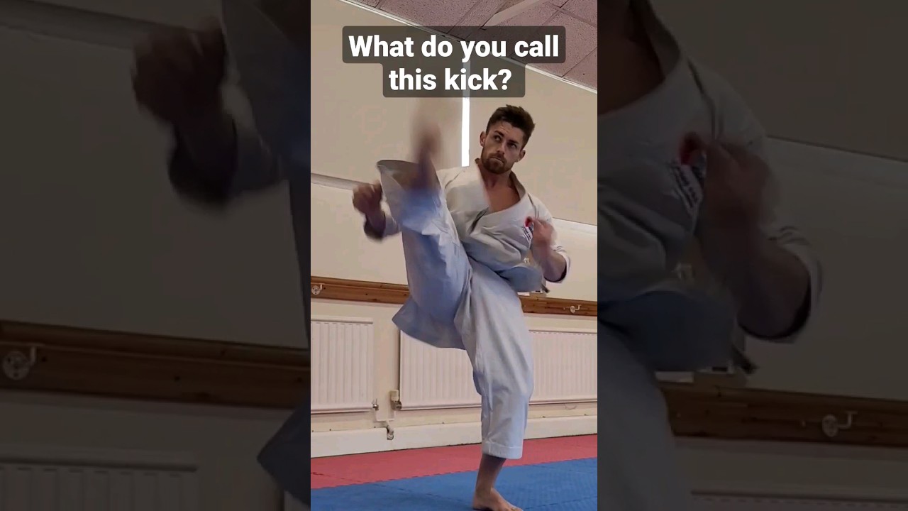 what do you call this kick? #Karate #shotokan #kicking #kyokushin #martialarts #training #dojo #mma