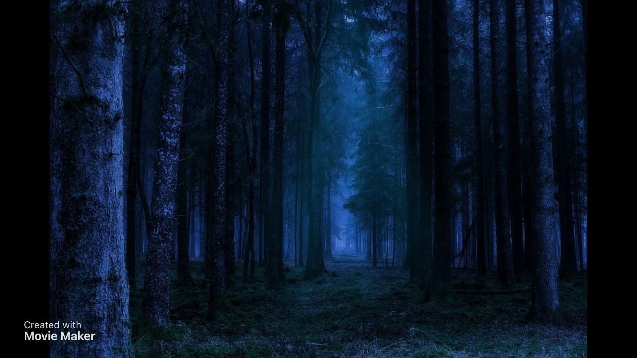 ASMR Whispering poetry and ramblings