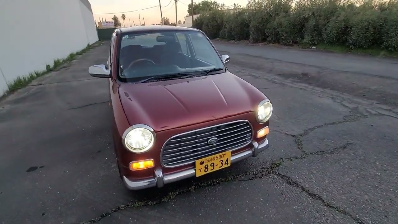Burgundy mira gino