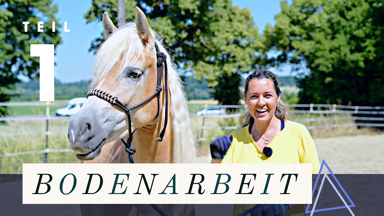 Bodenarbeit | Führtraining Teil1 | Ampel System 🐴🤩 | Janina Fischer