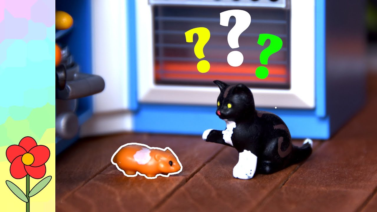 Ilvis und Lokis geheimer Mitbewohner [PLAYMOBIL®] [Geschichte] [Film]
