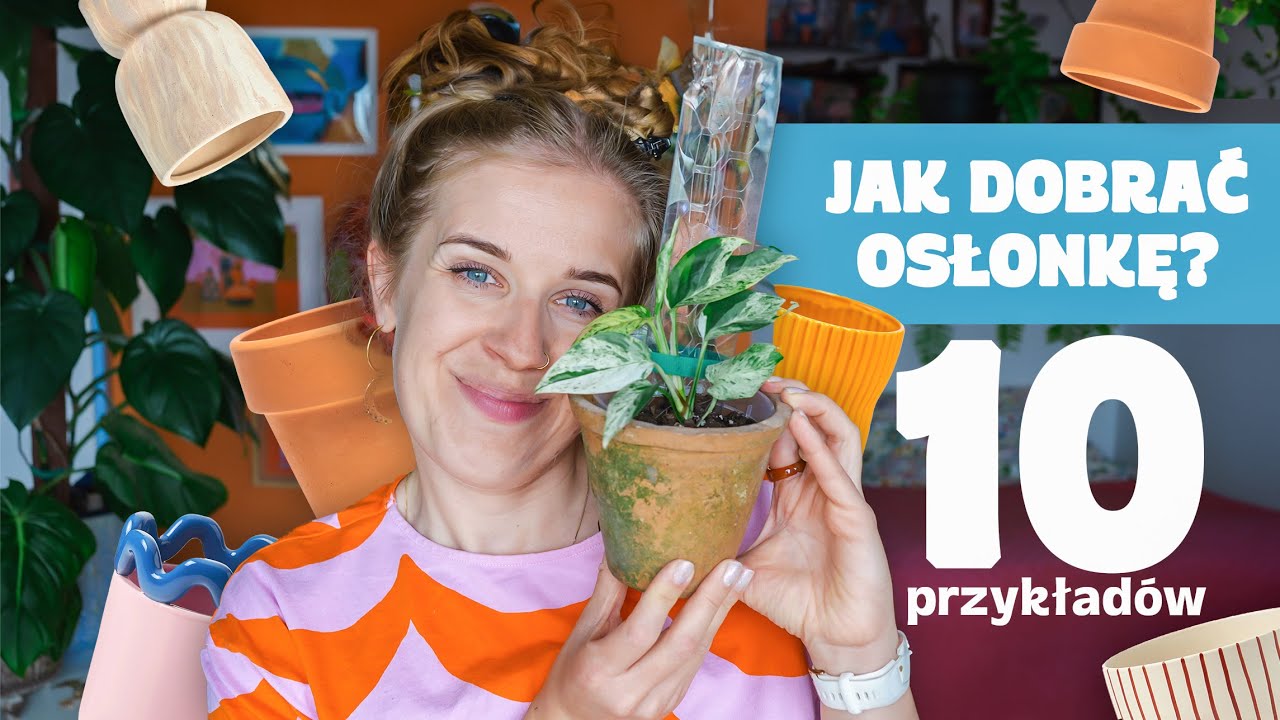 10 przykładów pary idealnej - roślina & osłonka | 10 pięknych roślin | nowe liście philków