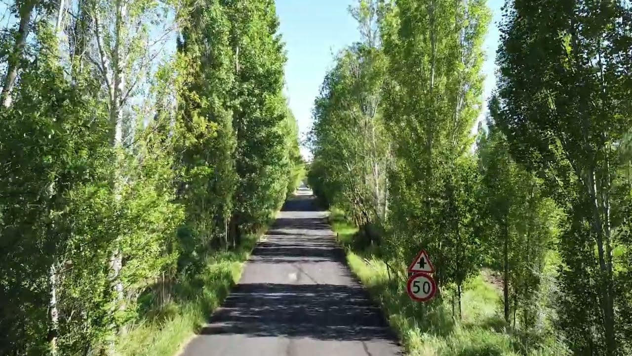 Erikdibi Konursu Bayburt Ağaçlı Uzun Yol 4k #bayburt #karadeniz #dağlar #manzara