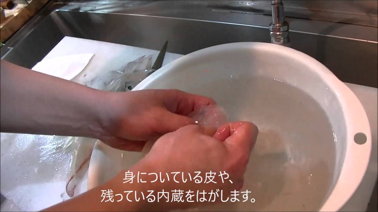 活ヤリイカの捌き方