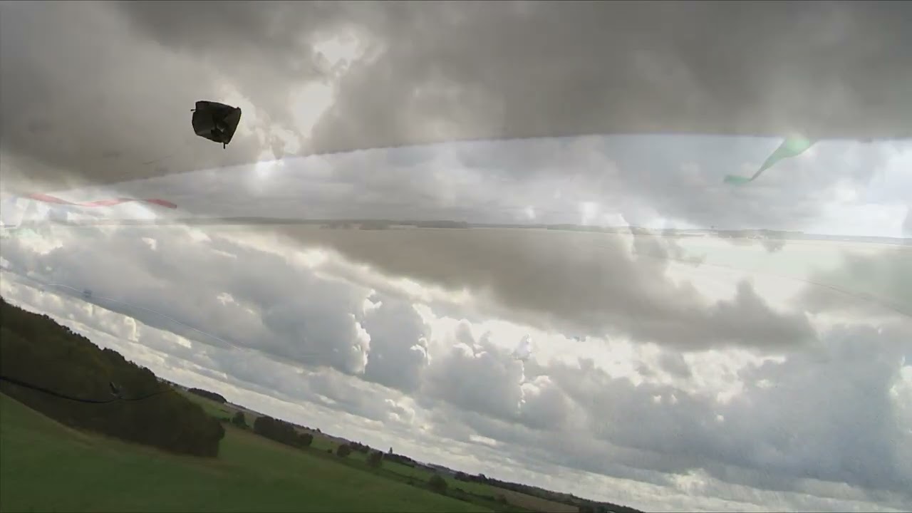 Fauconnerie Espace Rambouillet.