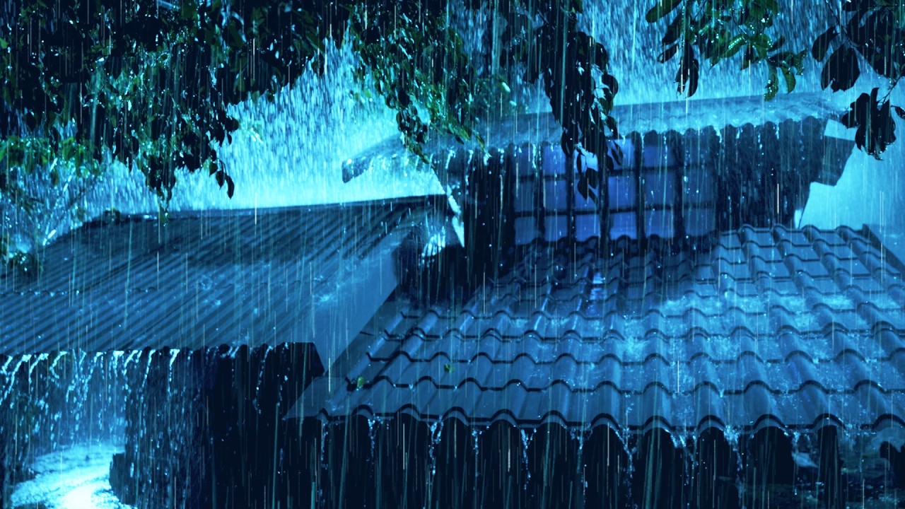 Una Noche Completa de Lluvia y Truenos Naturales que Facilitan un Sueño Largo y Continuo