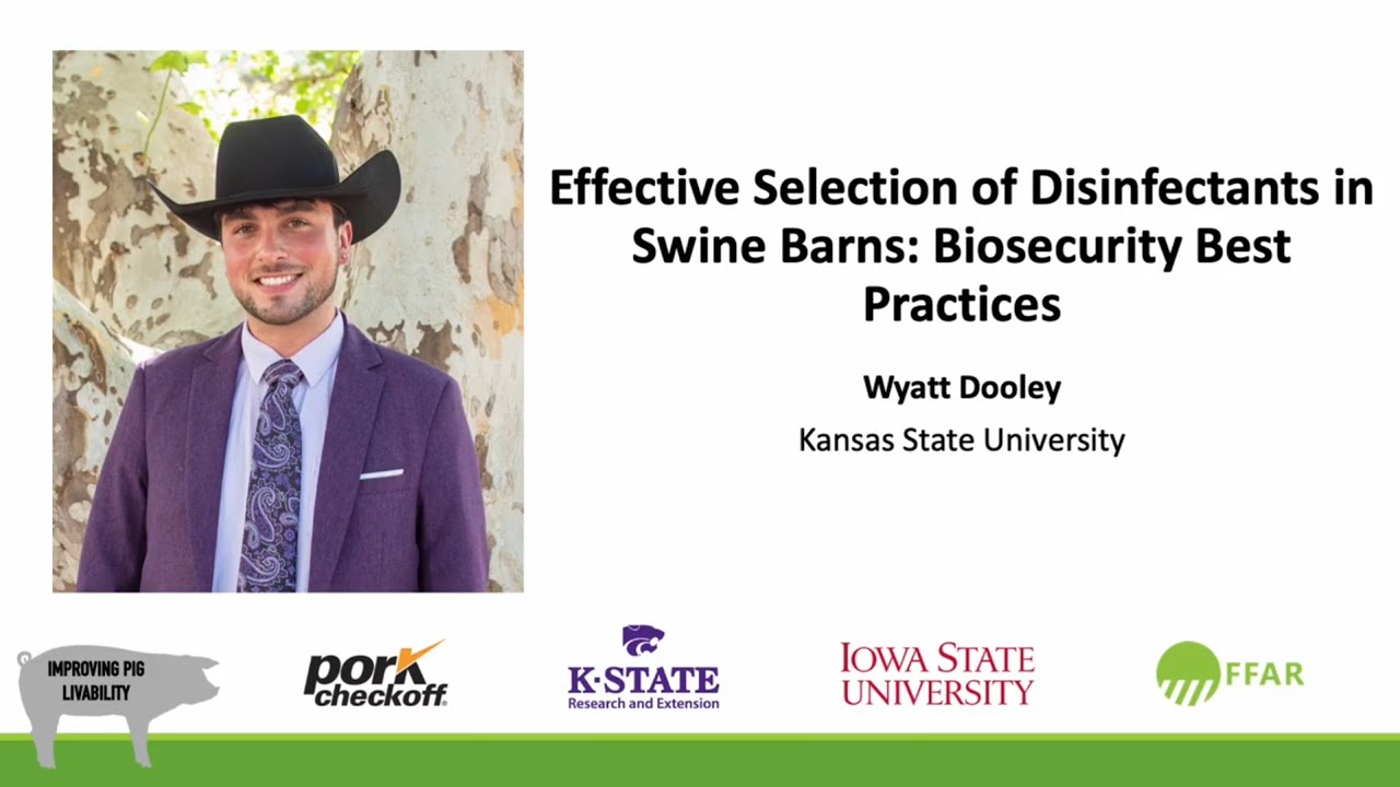Effective Selection of Disinfectants in Swine Barns